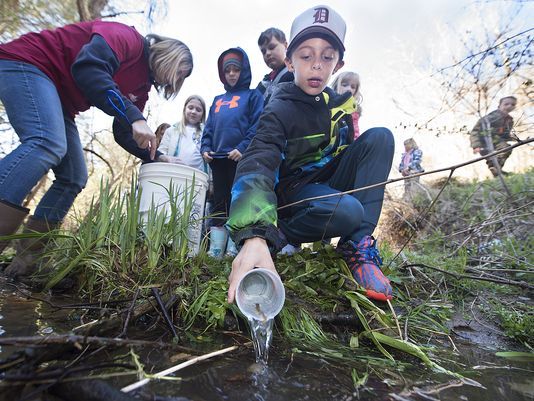 Trout in the Classroom Release Day!
