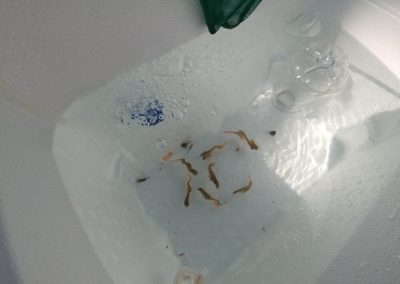 20180414_102613