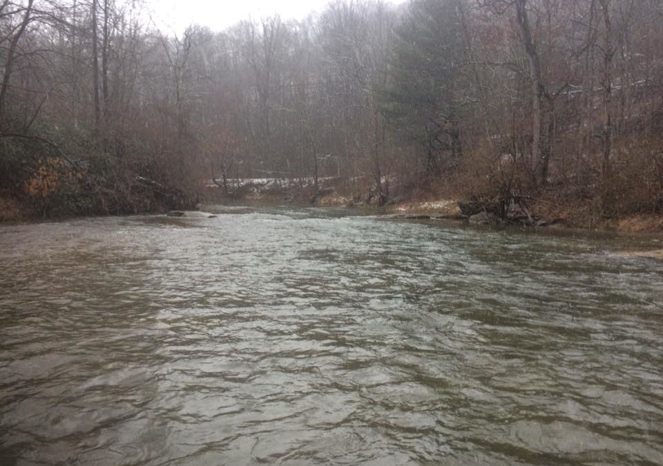 Muddy Creek is full of water at 250cfs.