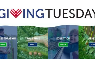 Giving Tuesday
