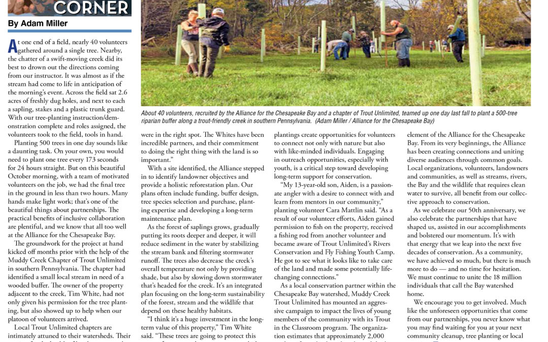 Bay Journal Feature
