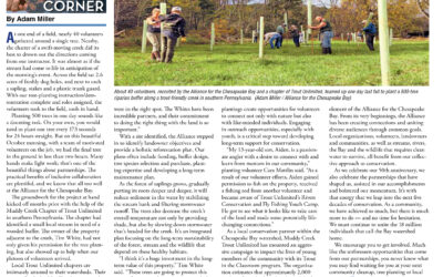 Bay Journal Feature